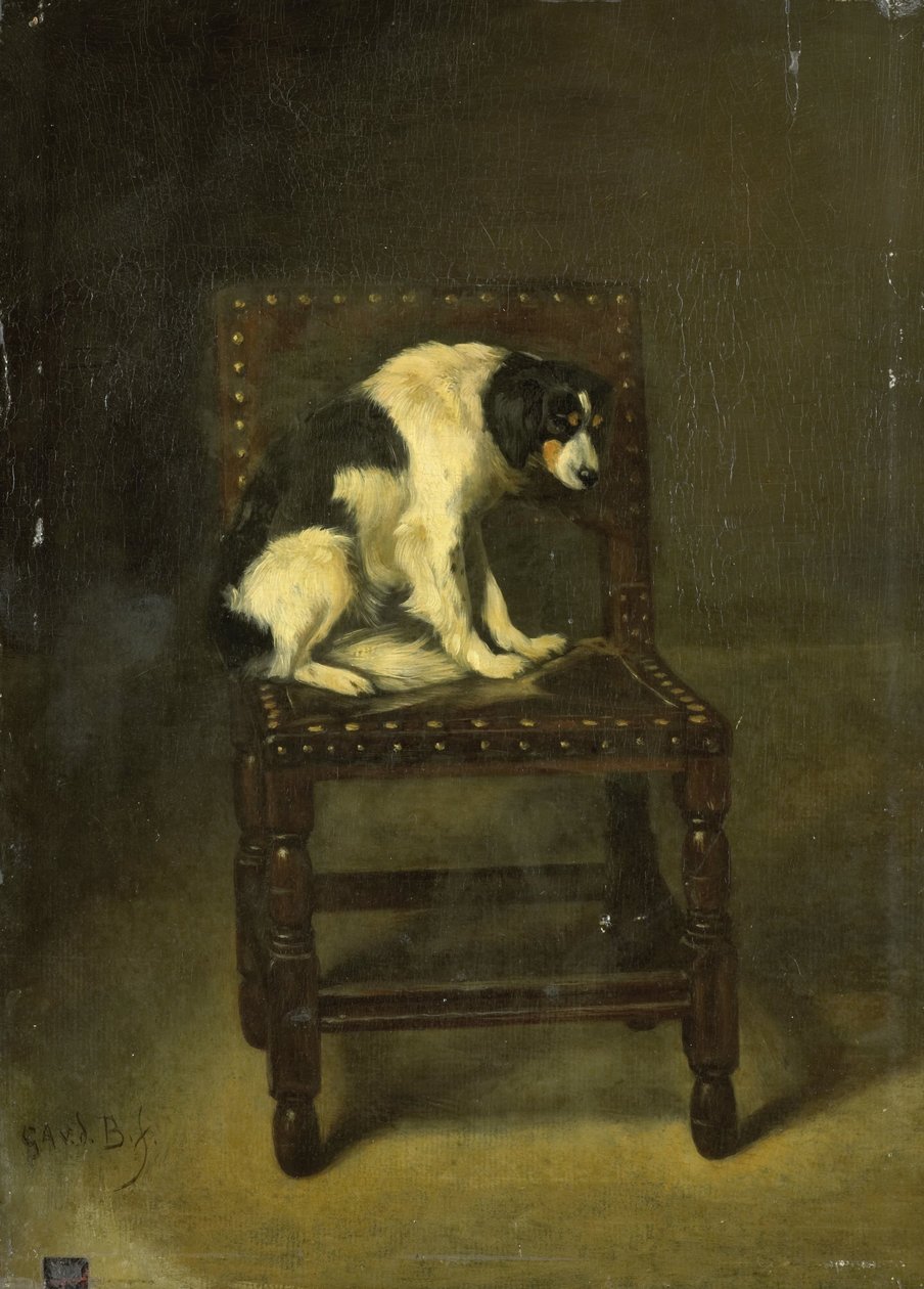 Um cão em uma cadeira de Guillaume Anne van der Brugghen