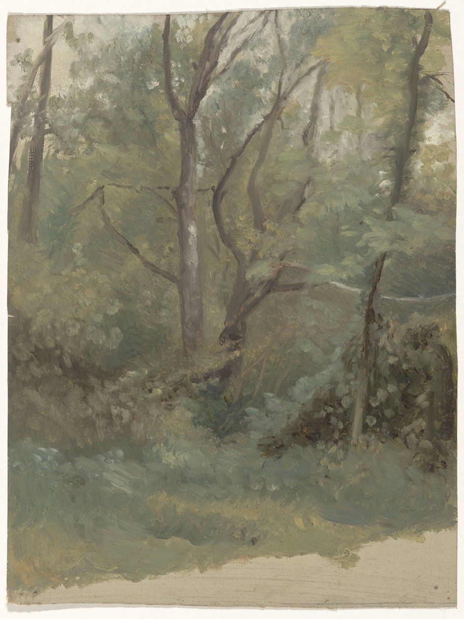 Vista da floresta de Guillaume Anne van der Brugghen