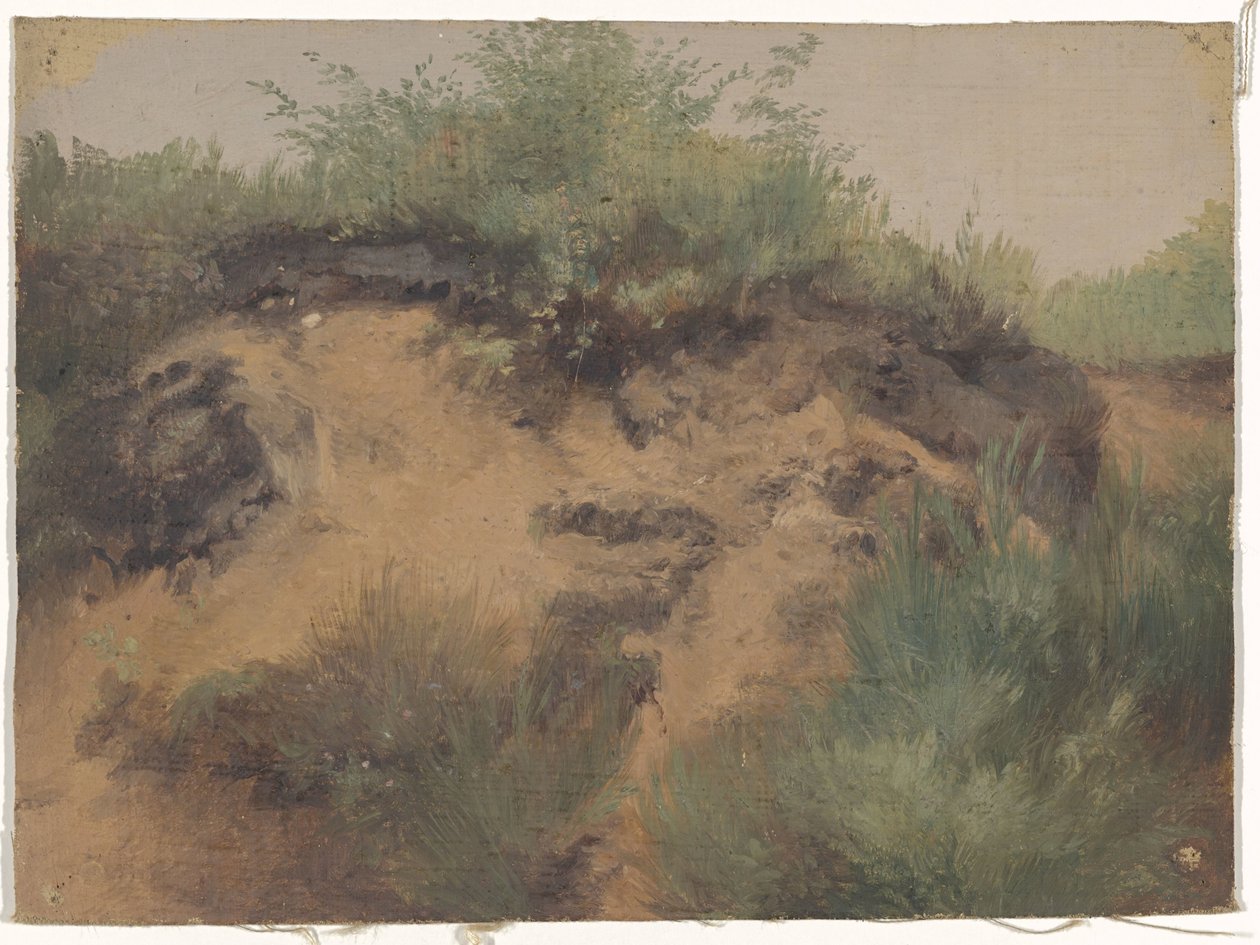 Duinpan de Guillaume Anne van der Brugghen