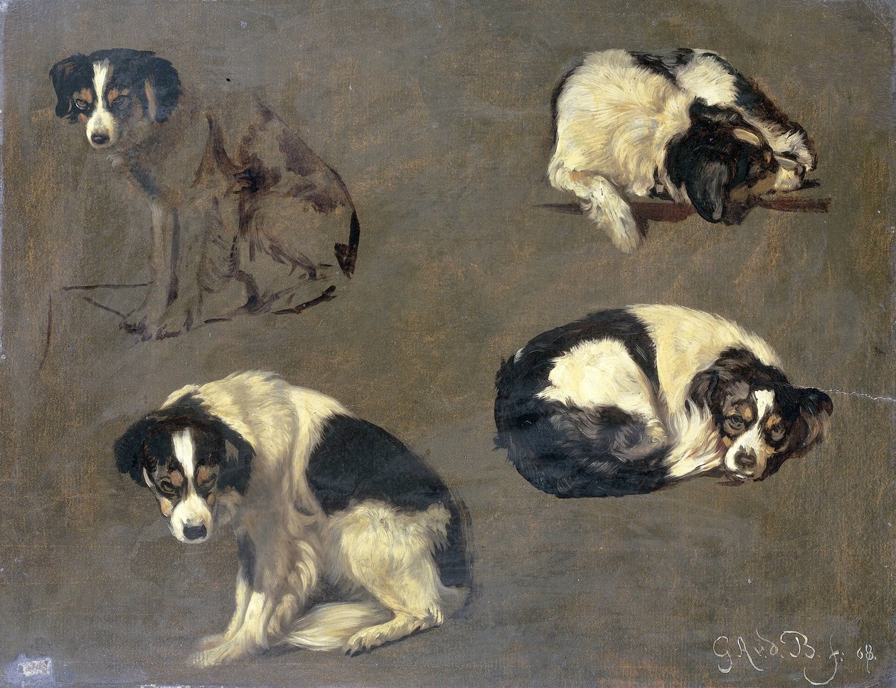 Quatro estudos de um cão de Guillaume Anne van der Brugghen