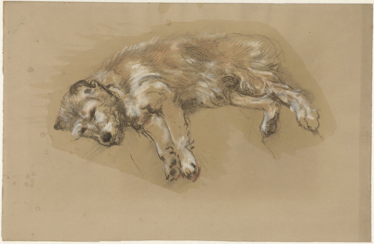 Cão reclinador de Guillaume Anne van der Brugghen
