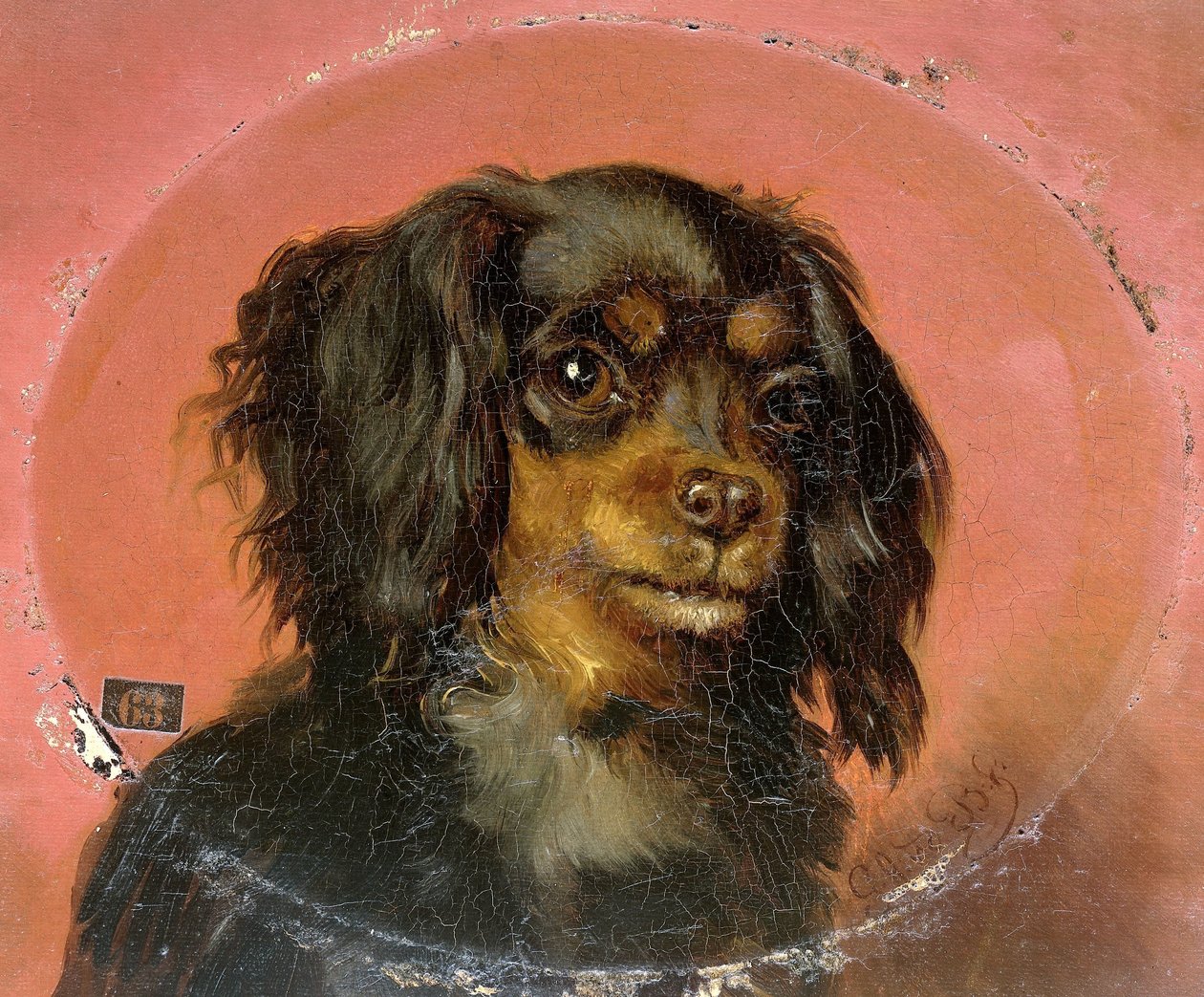 Retrato de um cachorro de Guillaume Anne van der Brugghen