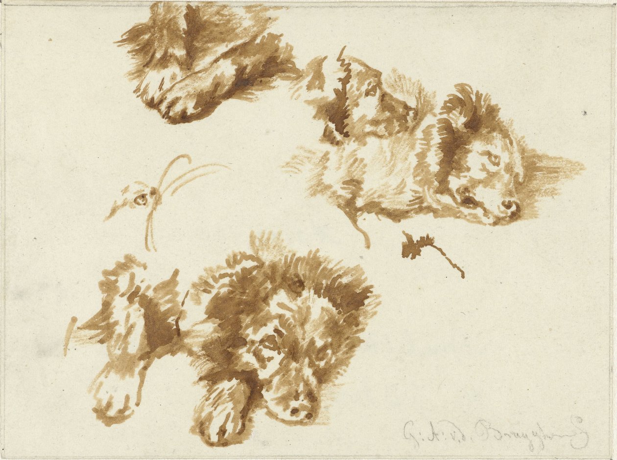 Estudos de um cão de Guillaume Anne van der Brugghen