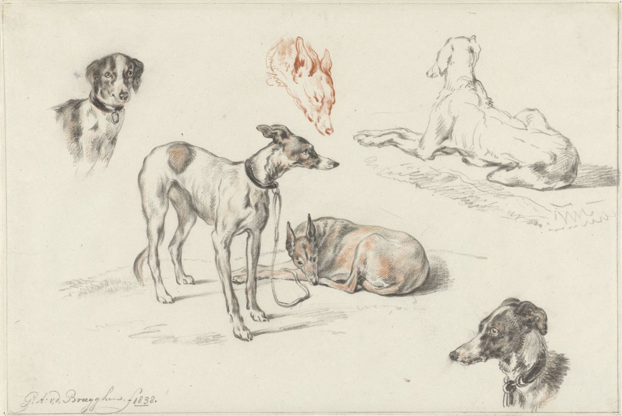 Estudos de cães de Guillaume Anne van der Brugghen