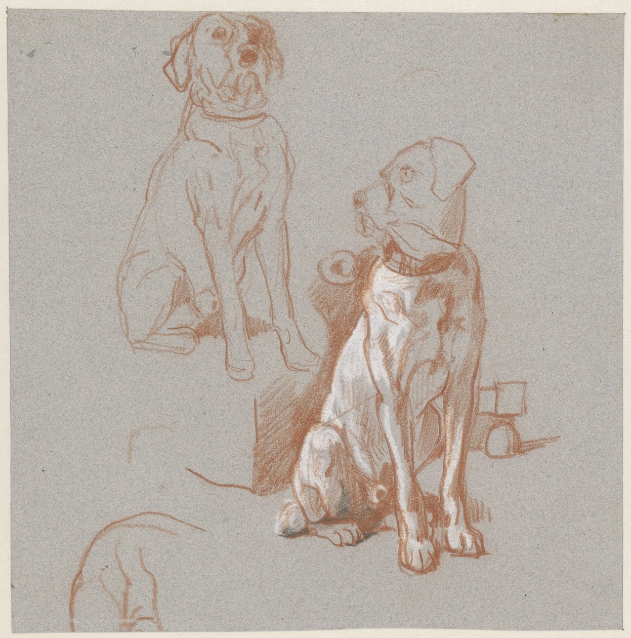 Dois estudos de um cão sentado de Guillaume Anne van der Brugghen