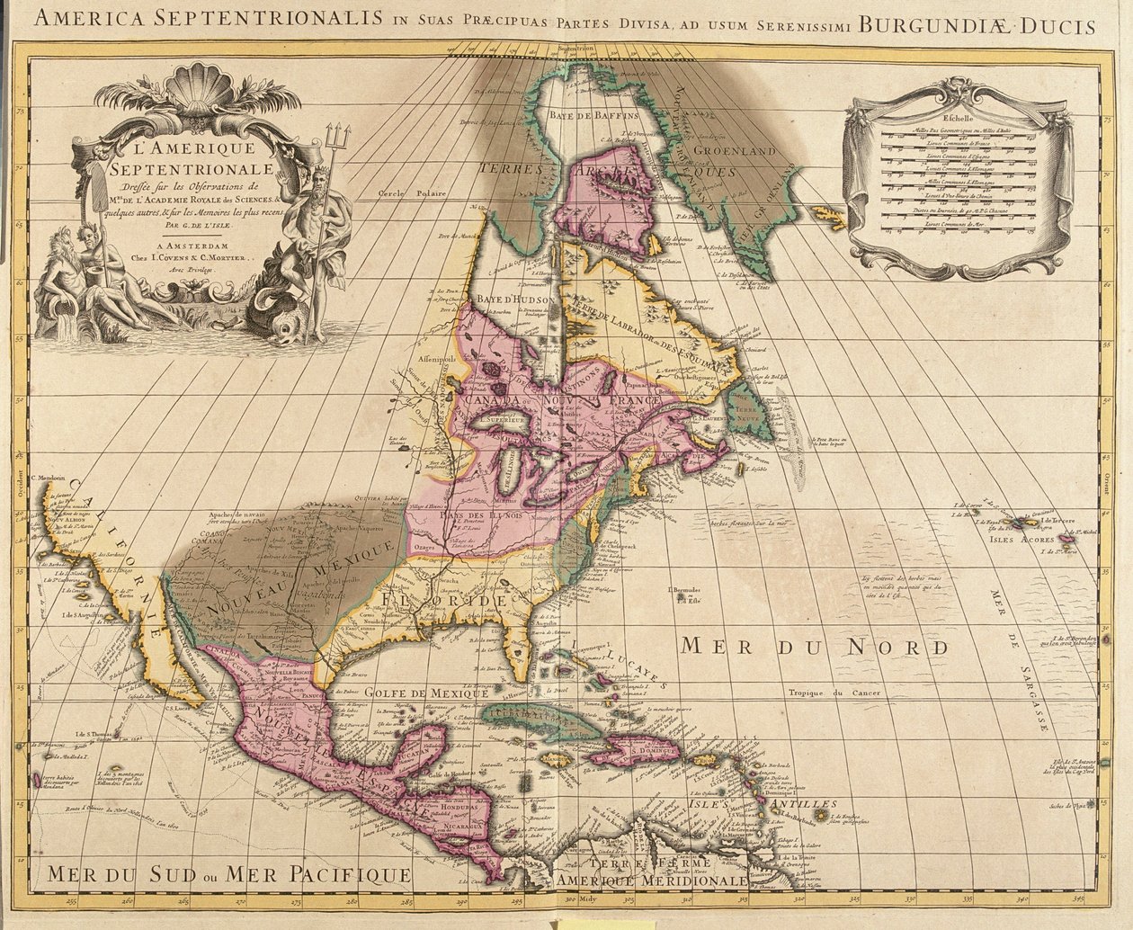 Leste do Canadá, leste dos Estados Unidos, México, Guatemala, El Salvador, Belize, Honduras, Nicarágua, Costa Rica, Panamá, Antígua e Barbuda, Bahamas, Barbados, Cuba, Domínica, Jamaica, Granada, Haiti, República Dominicana, São Cristóvão e Nevis, Santa Lú de Guillaume Delisle