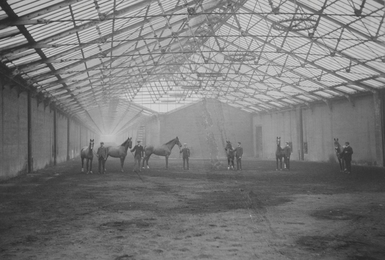 Cavalos e noivos no Tan Gallop, Welbeck Estate (foto a p/b) de Gunn and Stuart