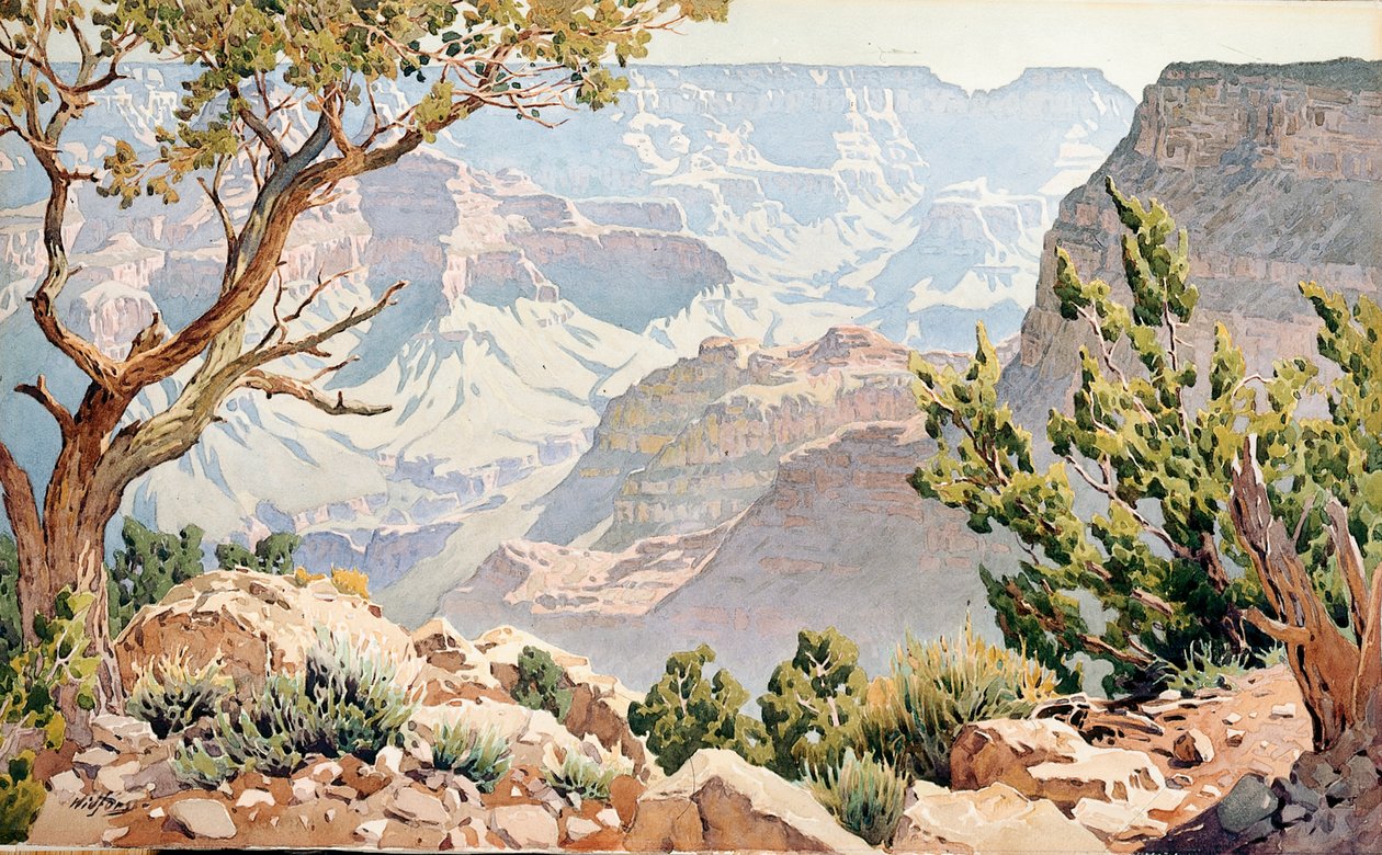 Grand Canyon (w - c a bordo) de Gunnar Widforss