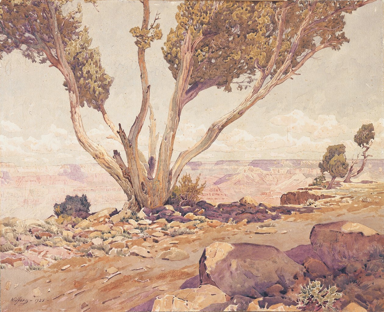 Grand Canyon de Gunnar Widforss