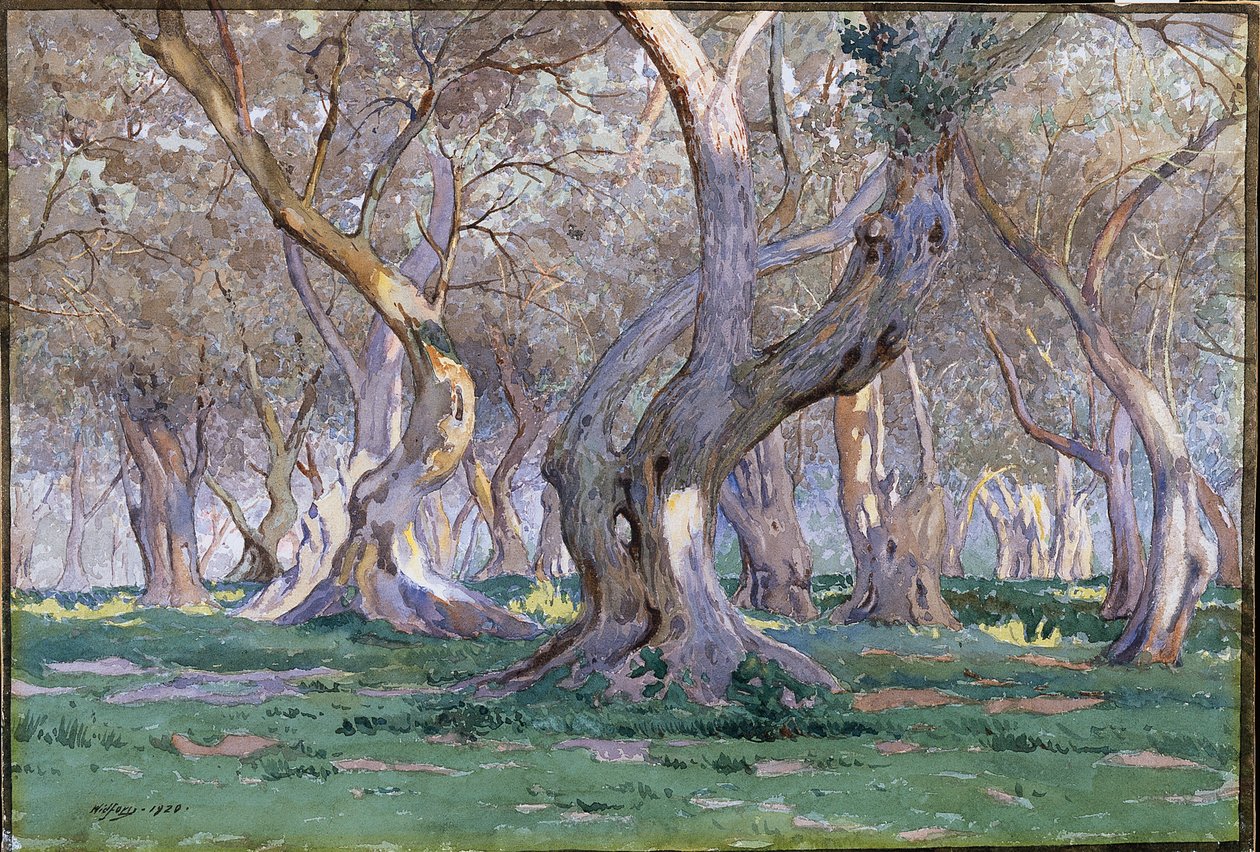 Oak Grove de Gunnar Widforss