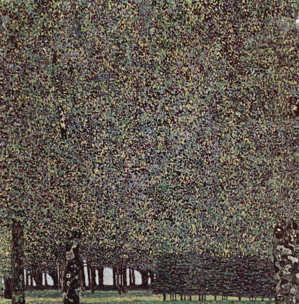 O parque de Gustav Klimt