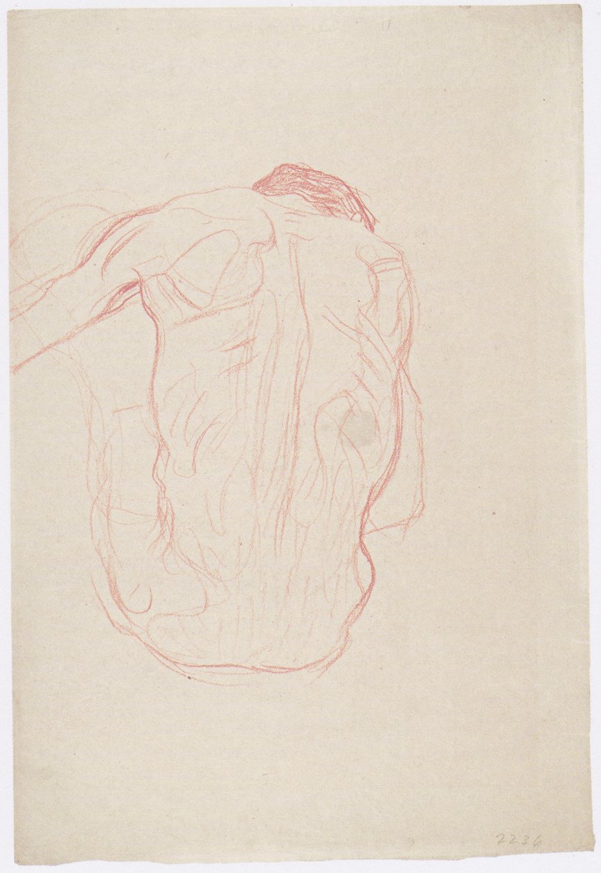 Ato de costas masculino sentado de Gustav Klimt
