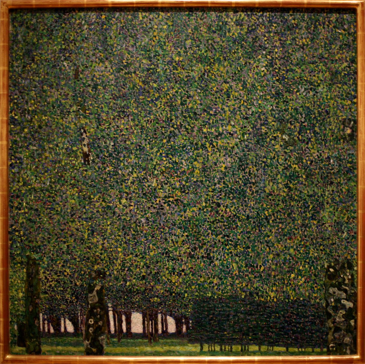 O Parque de Gustav Klimt