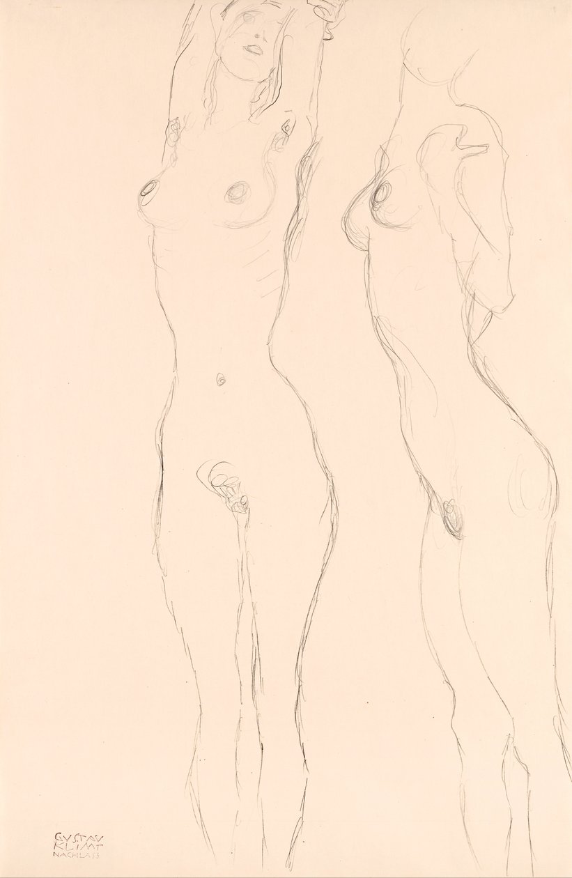Dois Nus, o Deixado com Braços Levantados de Gustav Klimt