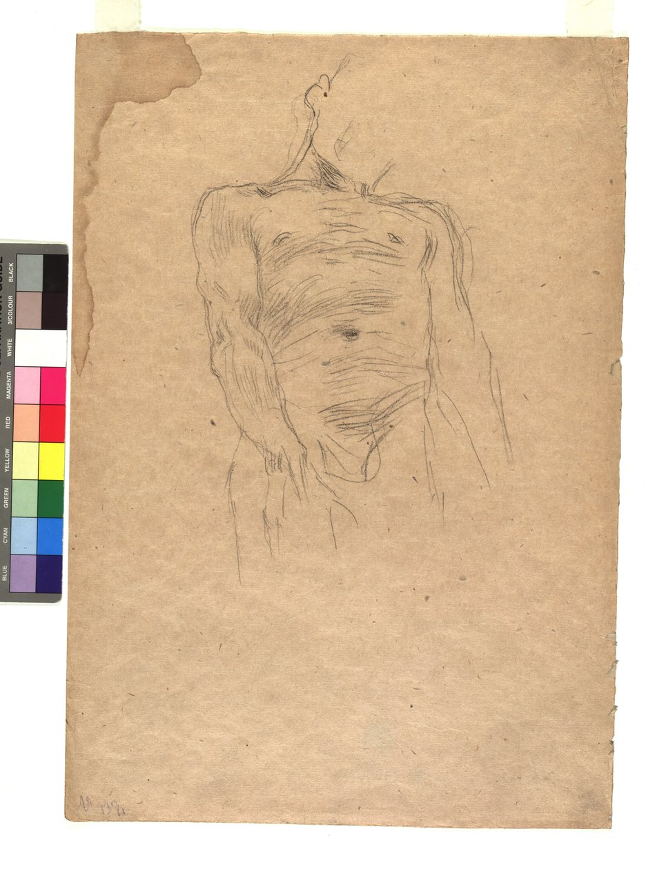 Männlicher Torso de Gustav Klimt