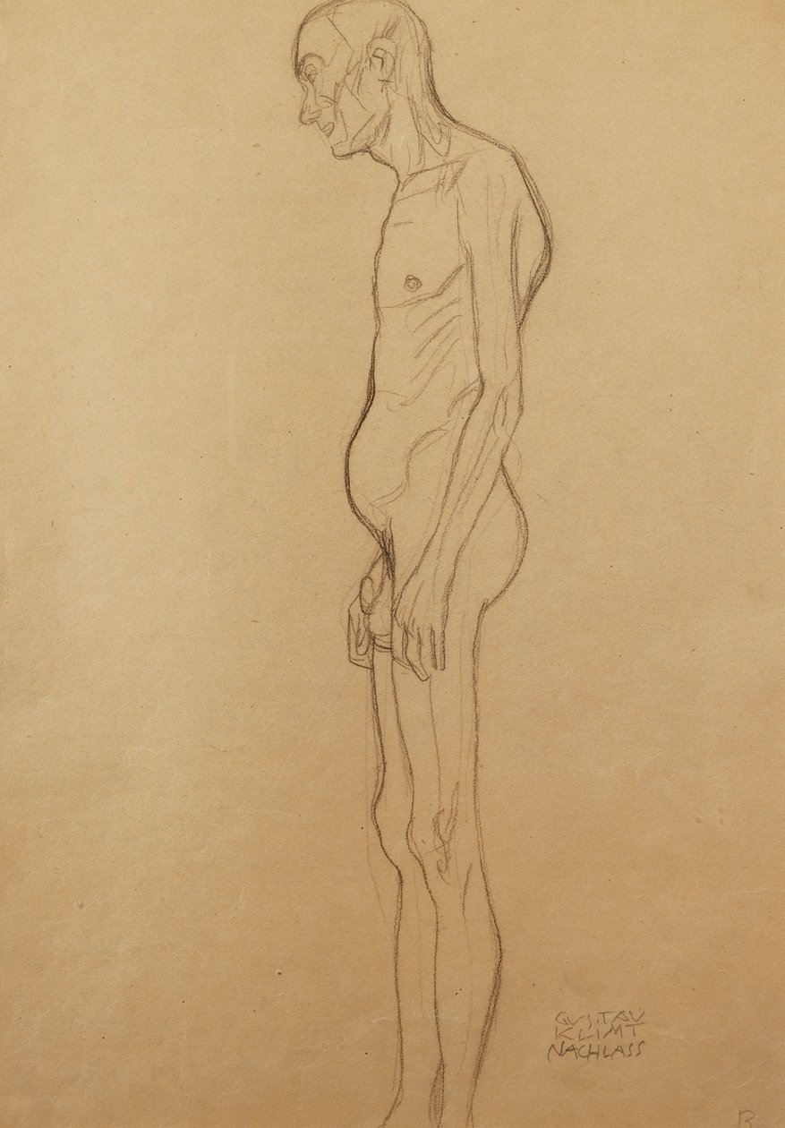 Homem nu; Homem nu, de Gustav Klimt