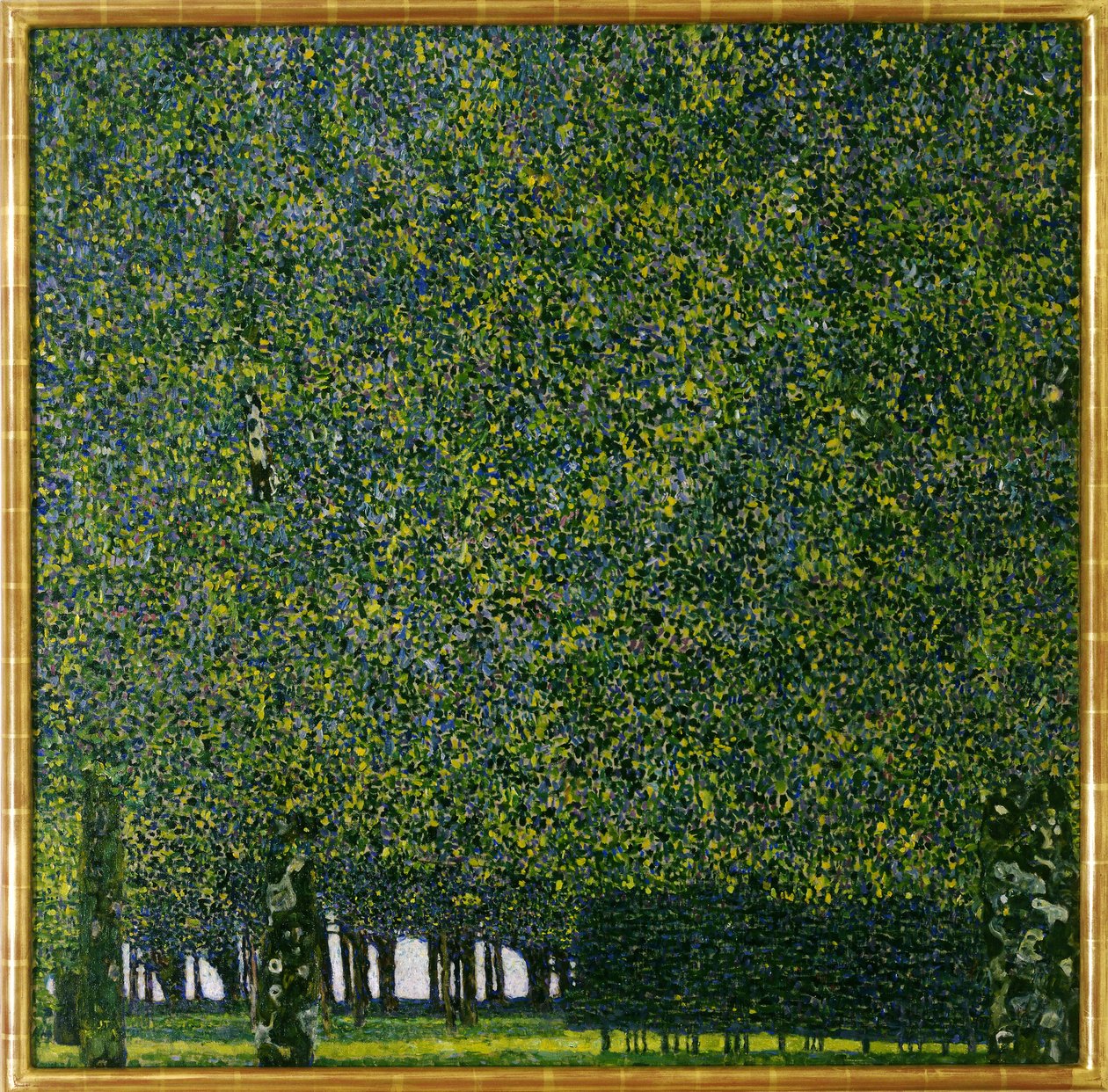 O Parque, c.1910 (óleo sobre tela) de Gustav Klimt