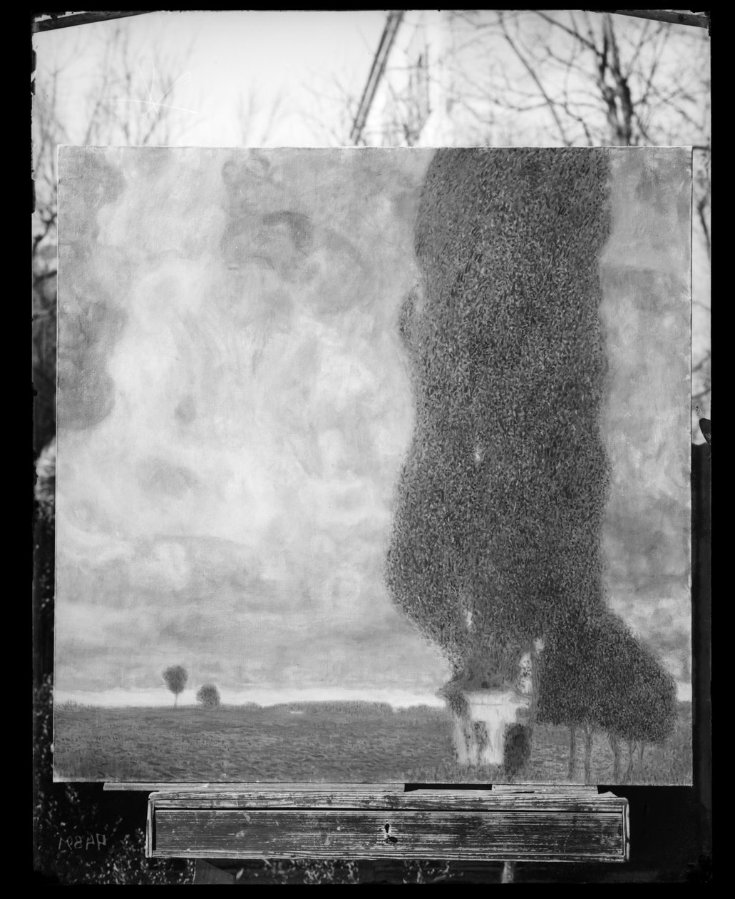 O berço cottonwood II (tempestade ascendente) de Gustav Klimt