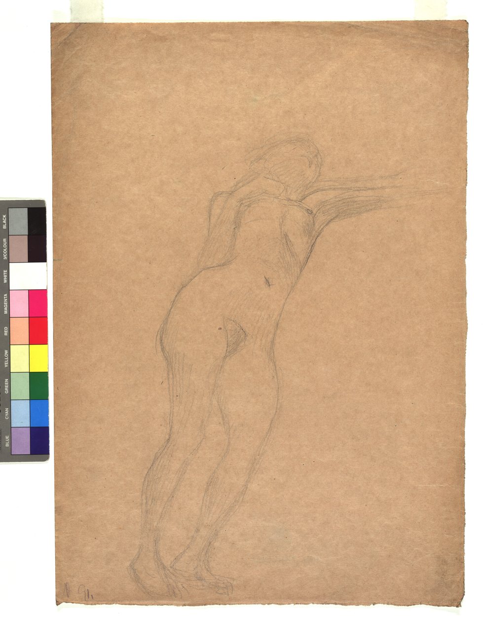 Weiblicher Akt in Untersicht de Gustav Klimt
