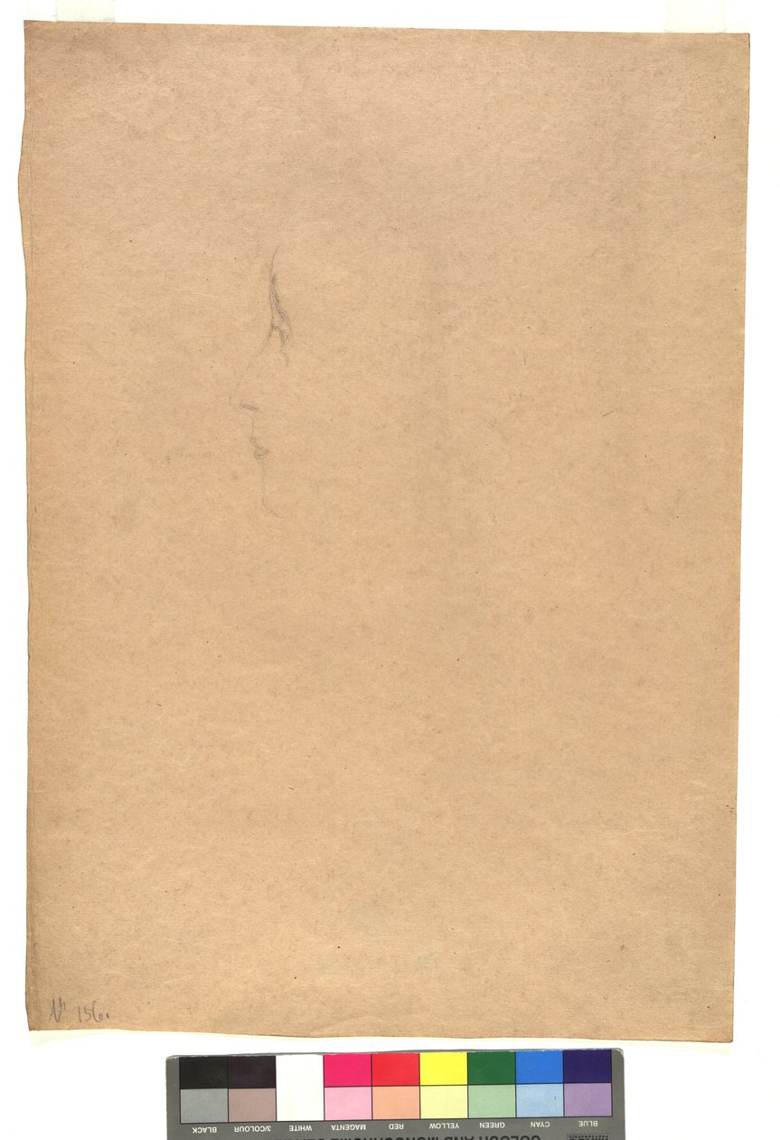 Weibliches Gesicht im Profil nach links de Gustav Klimt