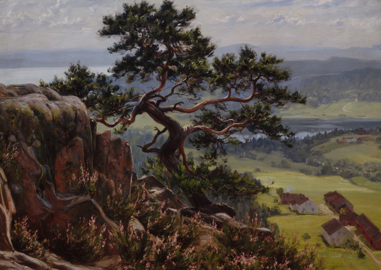 Vista sobre Vardåsen de Gustav Wentzel