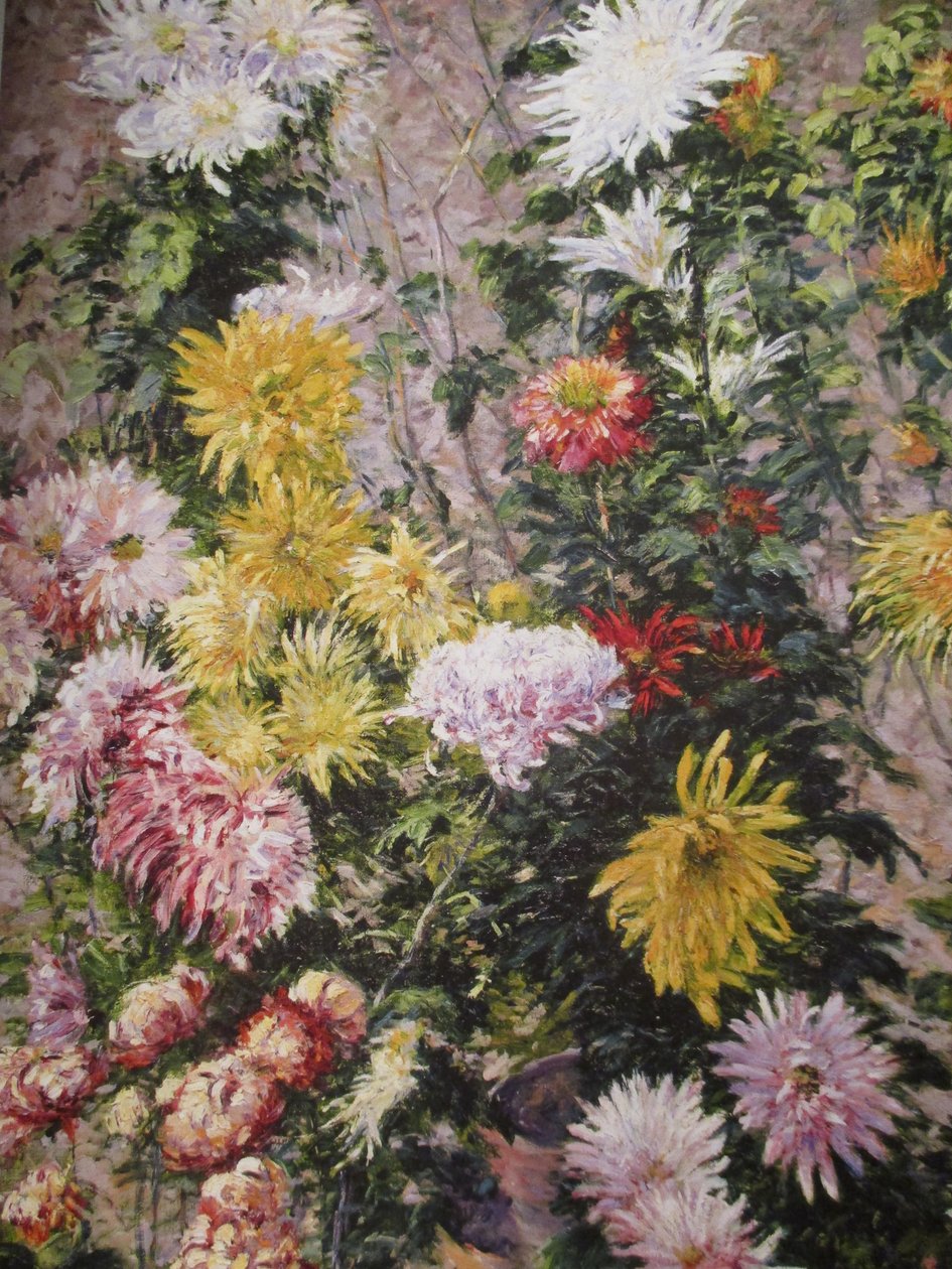 Crisântemos brancos e amarelos de Gustave Caillebotte