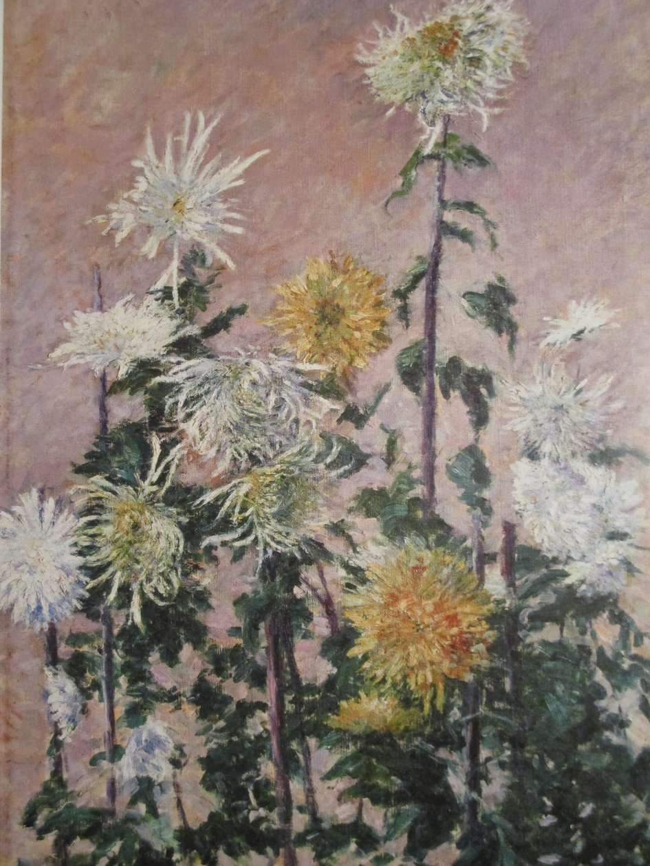 Crisântemos brancos e amarelos de Gustave Caillebotte