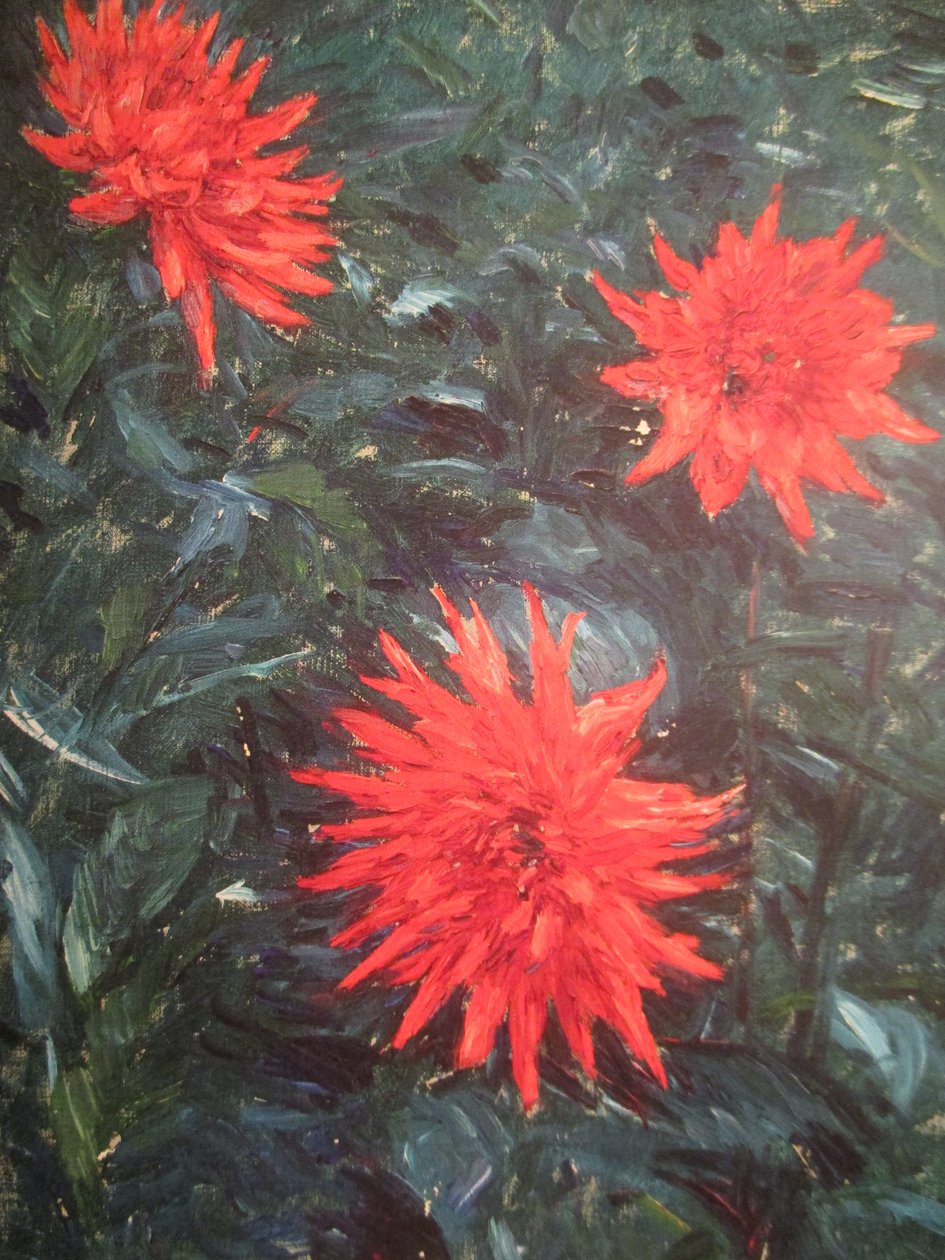 Cacto vermelho das dálias (1892) de Gustave Caillebotte
