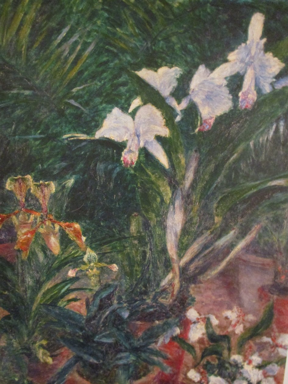 Orquídeas na estufa de Petit Gennevilliers de Gustave Caillebotte