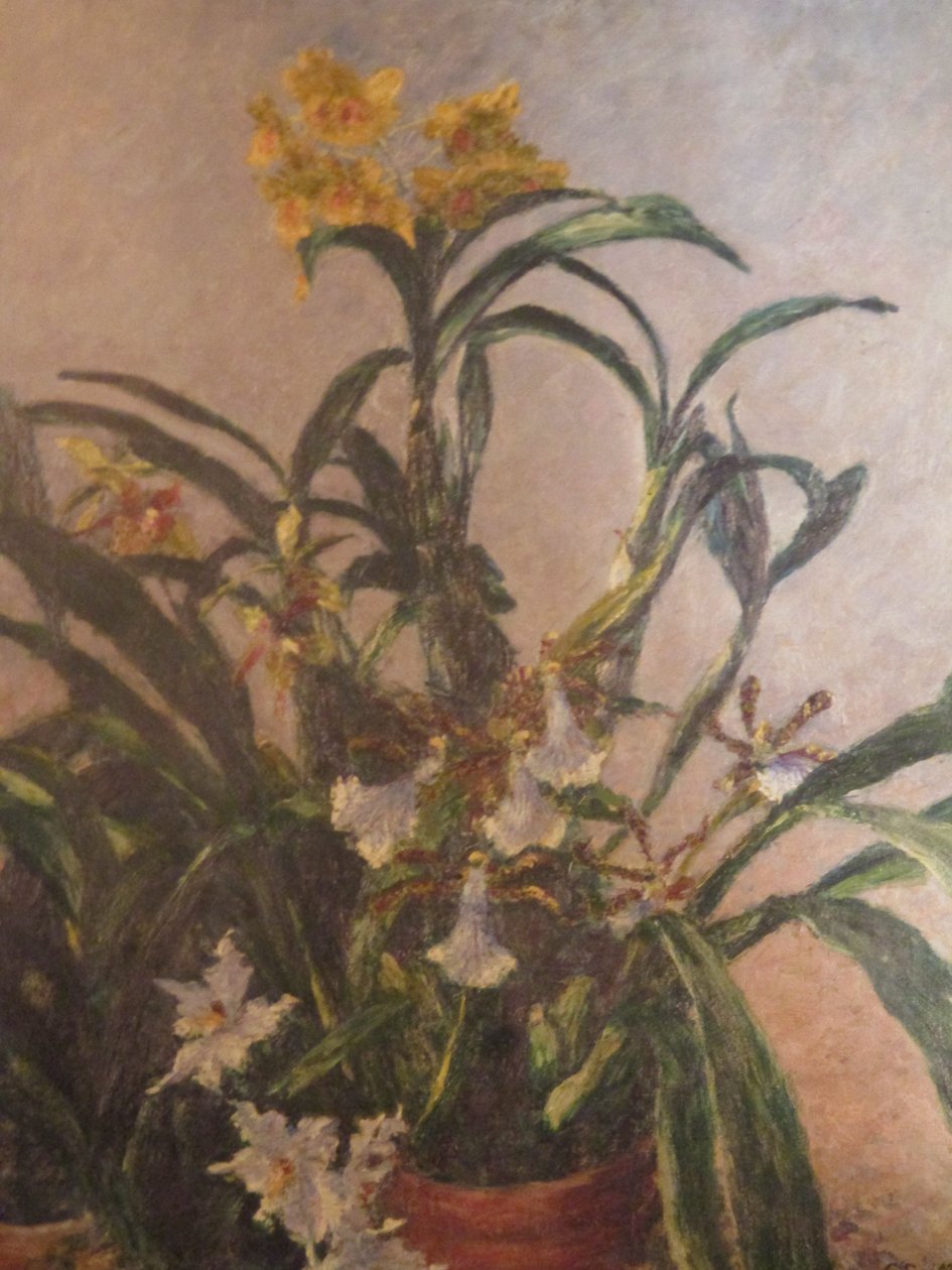 Orquídeas Amarelas de Gustave Caillebotte