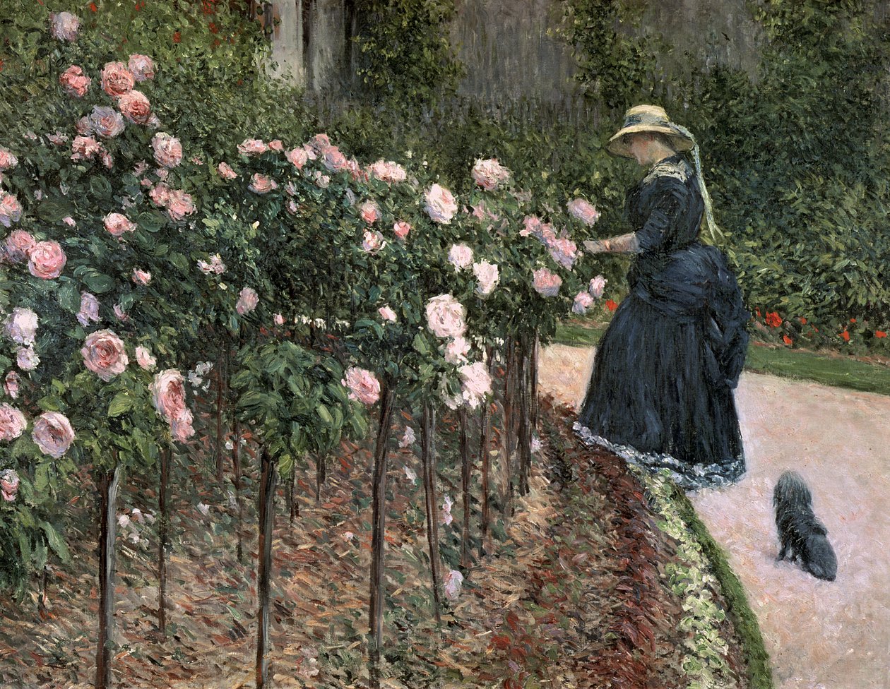 Rosas no jardim em Petit Gennevilliers, 1886 de Gustave Caillebotte