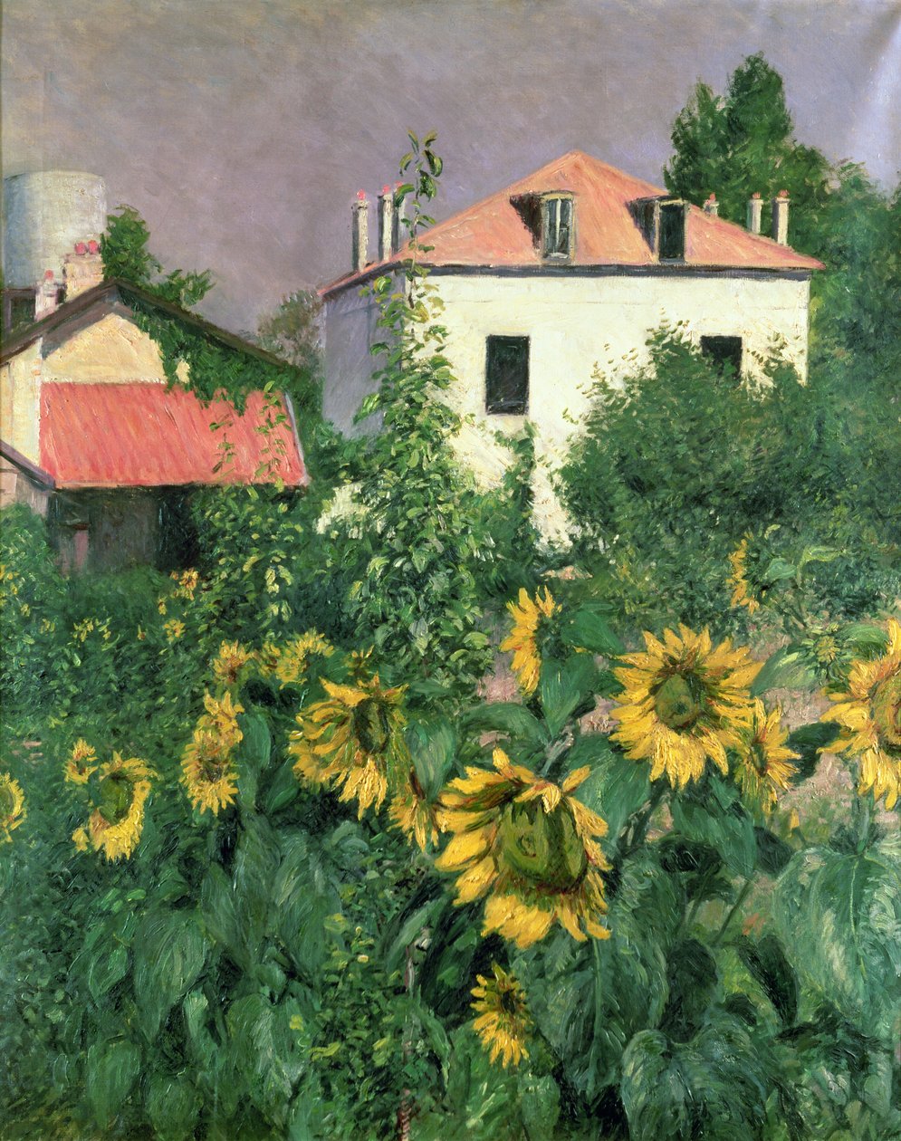 Girassóis no jardim em Petit Gennevilliers de Gustave Caillebotte