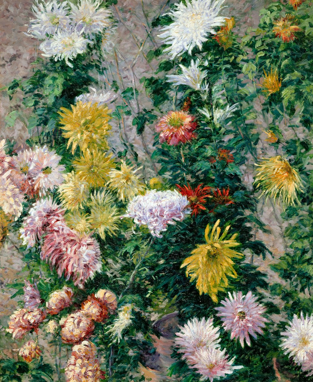 Crisântemos brancos e amarelos, 1893 de Gustave Caillebotte