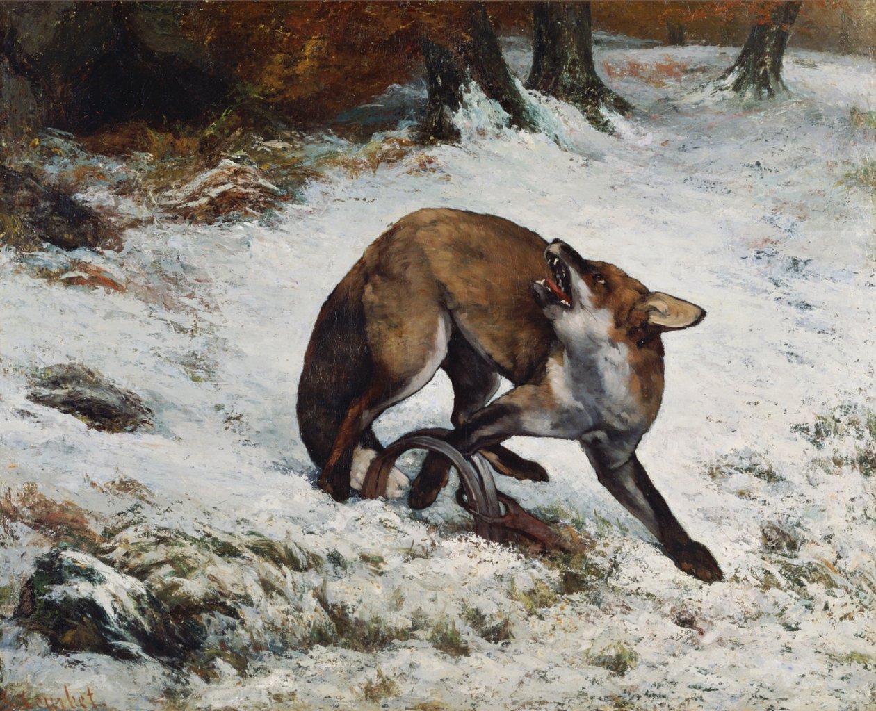 Fox preso em uma armadilha de Gustave Courbet