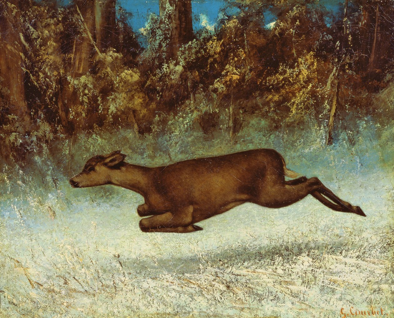 Salto Doe de Gustave Courbet