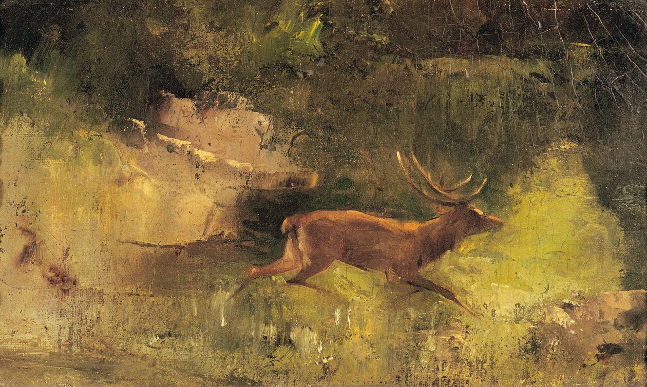 Veado correndo por uma madeira, c.1865 de Gustave Courbet