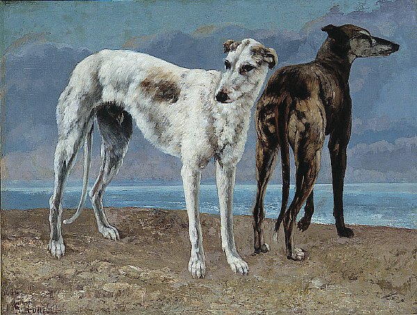 Os galgos do conde de Choiseul de Gustave Courbet