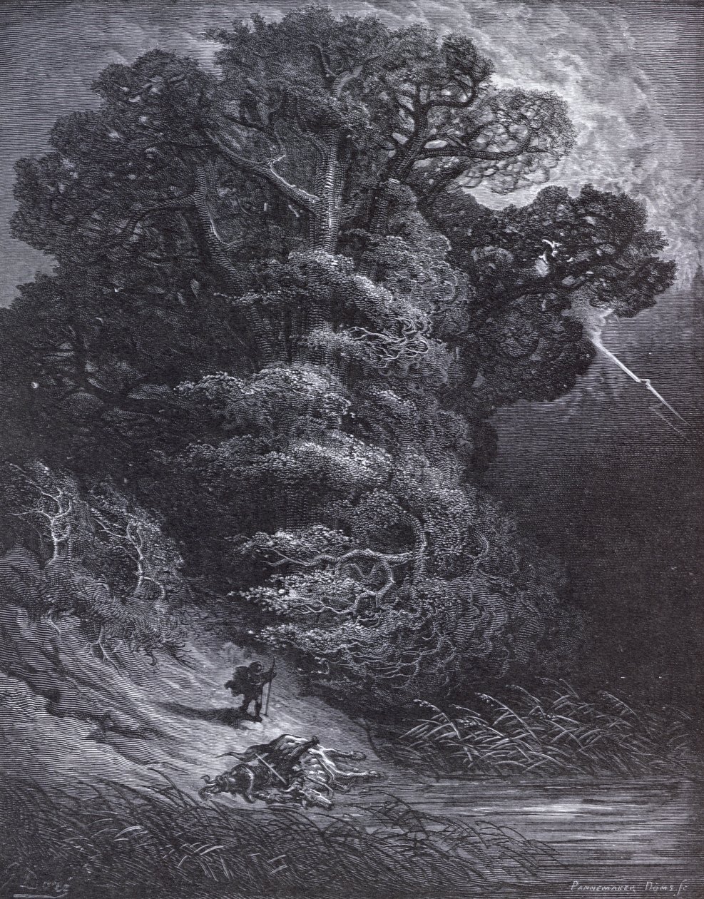 Ilustração para o carvalho e o Reed, de &39;fábulas&39; por Jean de La Fontaine (1621-95) de Gustave Dore