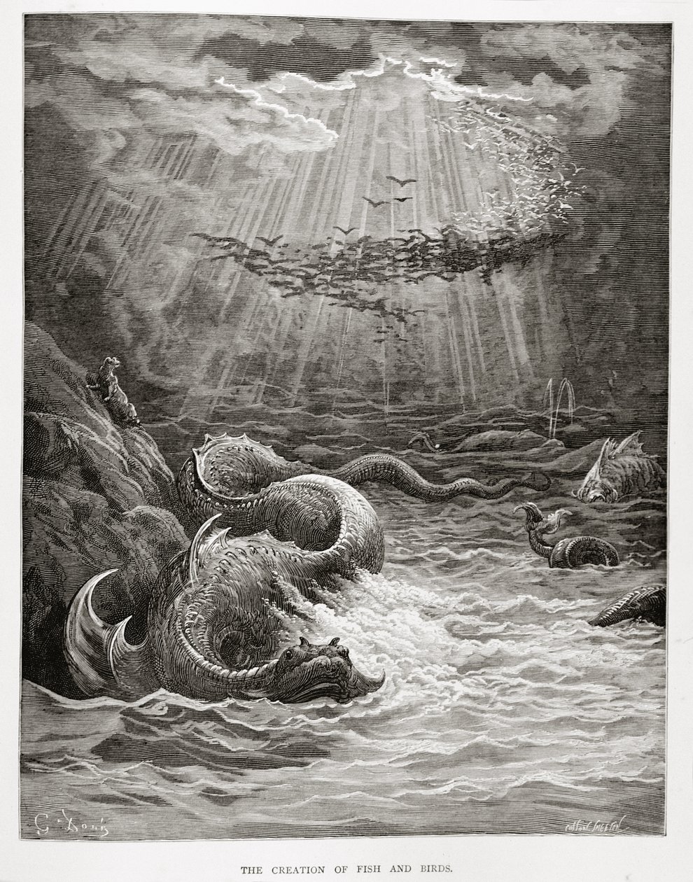 A criação de peixes e pássaros, do paraíso perdido por John Milton (1608-74) gravado por Collon Smeeton, c.1868 de Gustave Dore