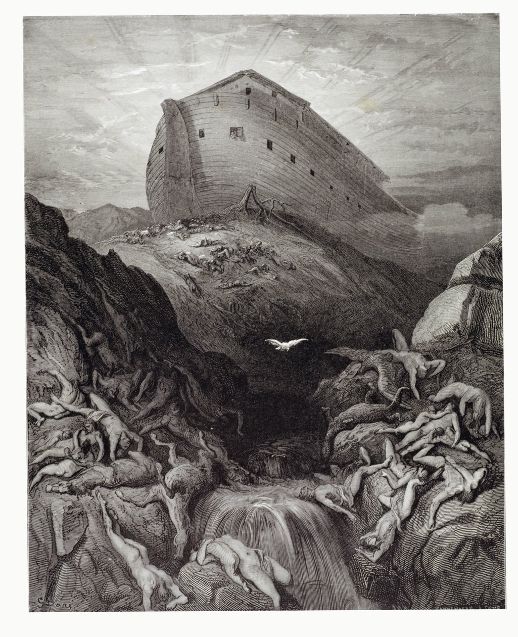 A pomba enviada da arca, gravada por Stephane Pannemaker (1847-1930) c.1868 de Gustave Dore