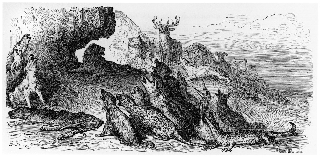 O Funeral da Leoa, ilustração de &39;fábulas&39; por Jean de La Fontaine (1621-95) Paris, publicado em 1868, gravado por Fournier de Gustave Dore
