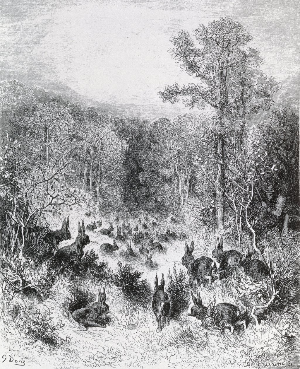 Os coelhos, ilustração de &39;fábulas&39; por La Fontaine, 1868 de Gustave Dore