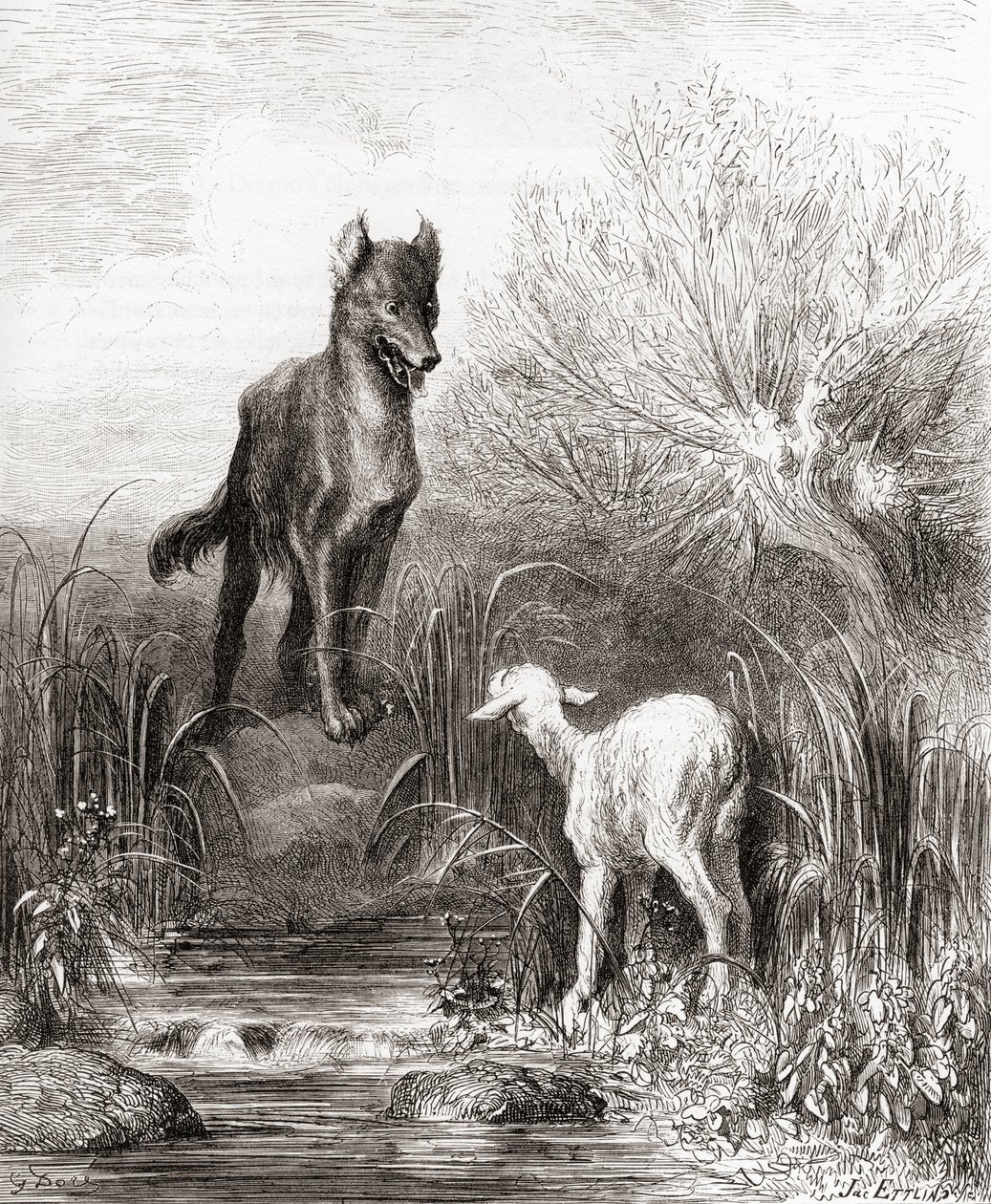O Lobo e o Cordeiro, de uma edição do final do século XIX de Fables de La Fontaine (gravura em madeira) de Gustave Dore