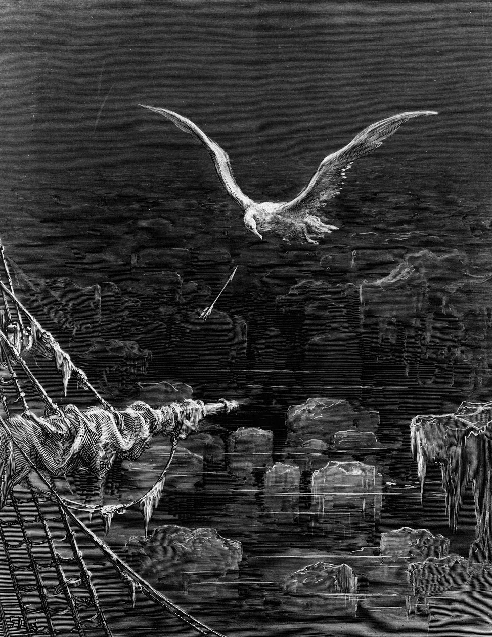 O albatroz é filmado pelo Mariner, cena de "O Rime do Marinheiro Antigo" por ST Coleridge, por ST Coleridge, publicado por Harper und Brothers, Nova York, 1876 (gravura em madeira) de Gustave Dore