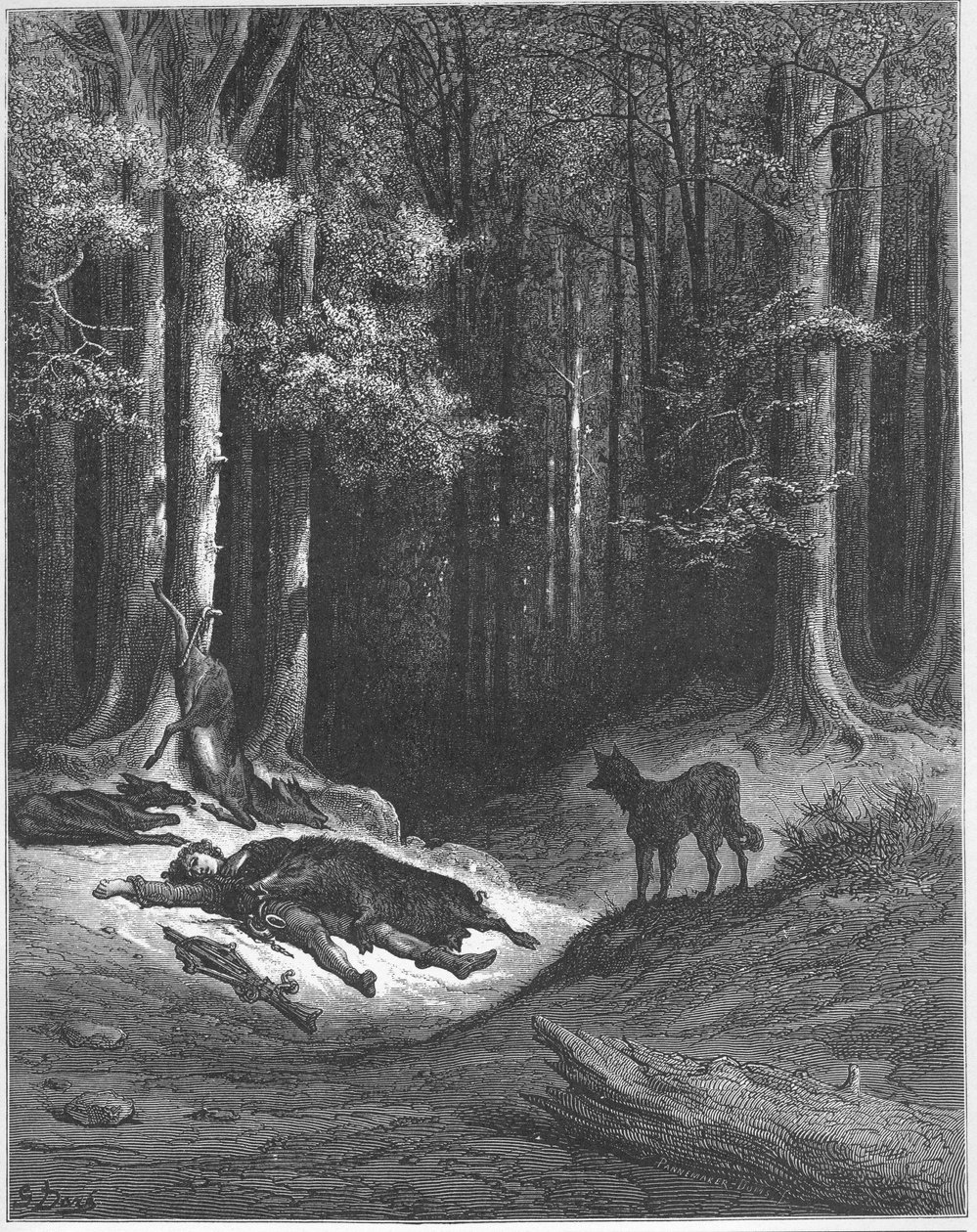 Le loup et le chasseur - O lobo e o caçador - de 