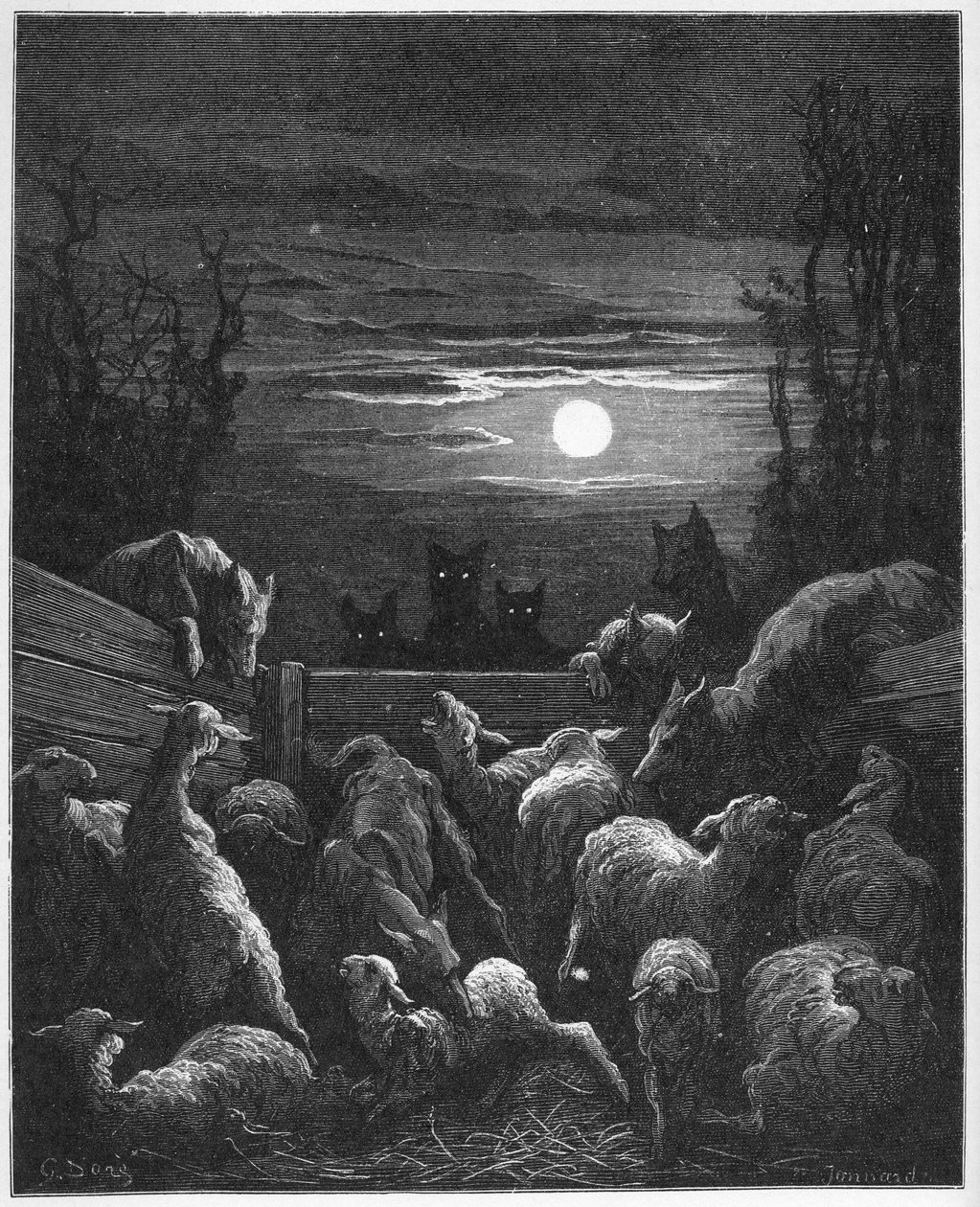 Les Loups et les Ebis - de 