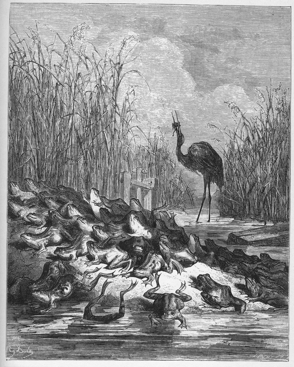 The Frogs Who Desired a King - de 