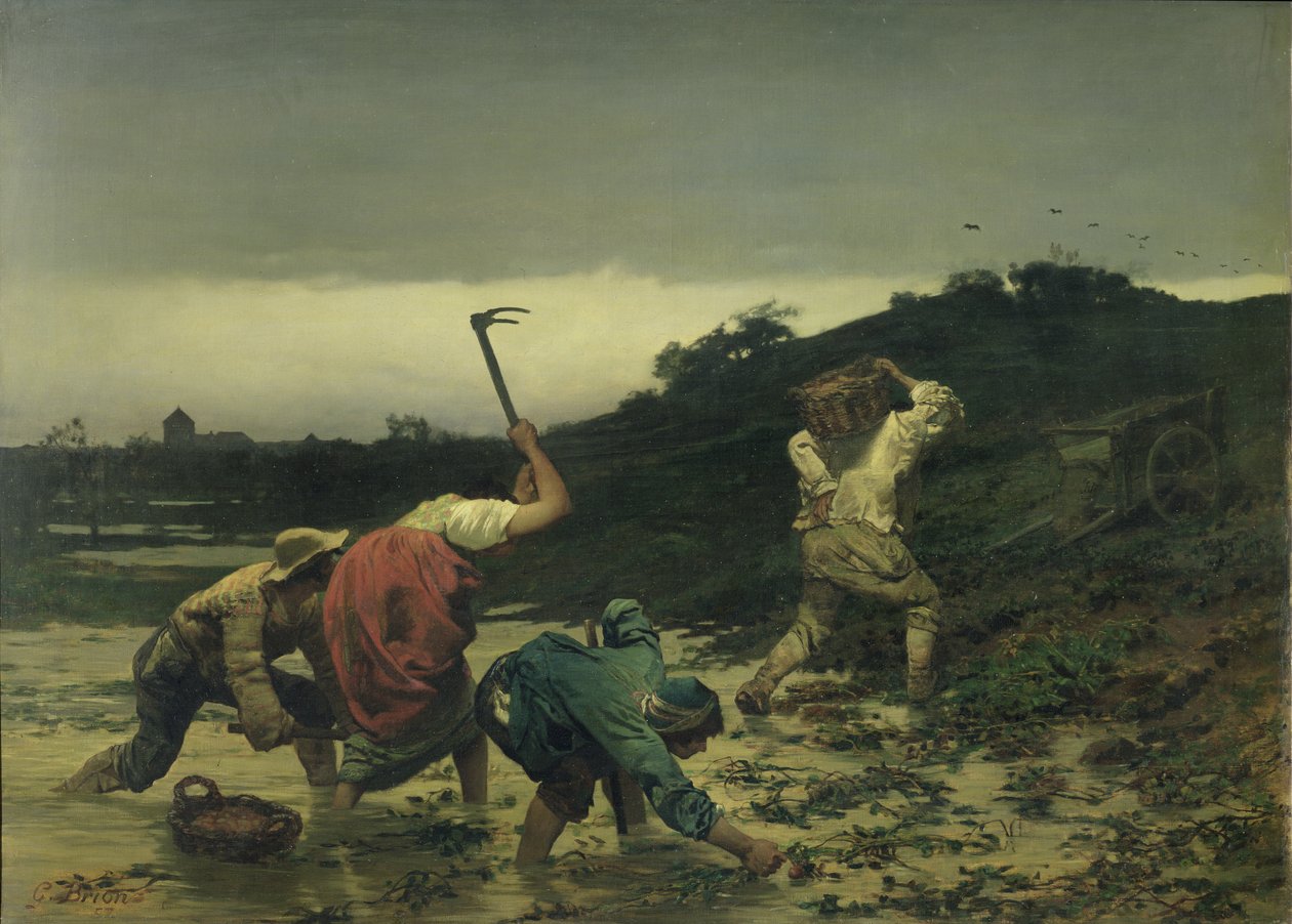 Camponeses Colheita de Batatas Durante a Inundação do Reno em 1852 de Gustave Brion