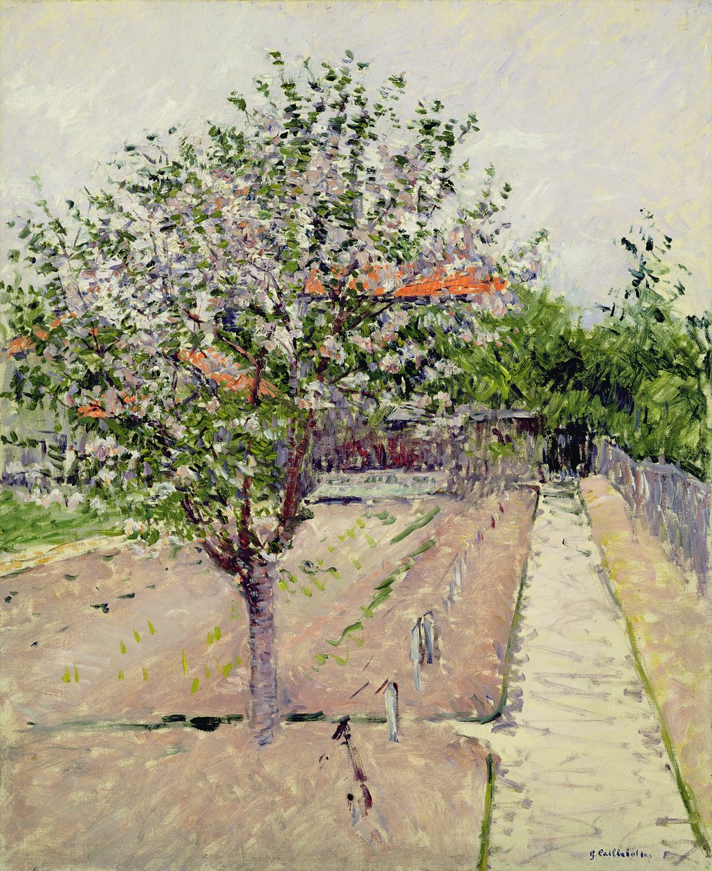 Macieira em flor, c.1885 de Gustave Caillebotte