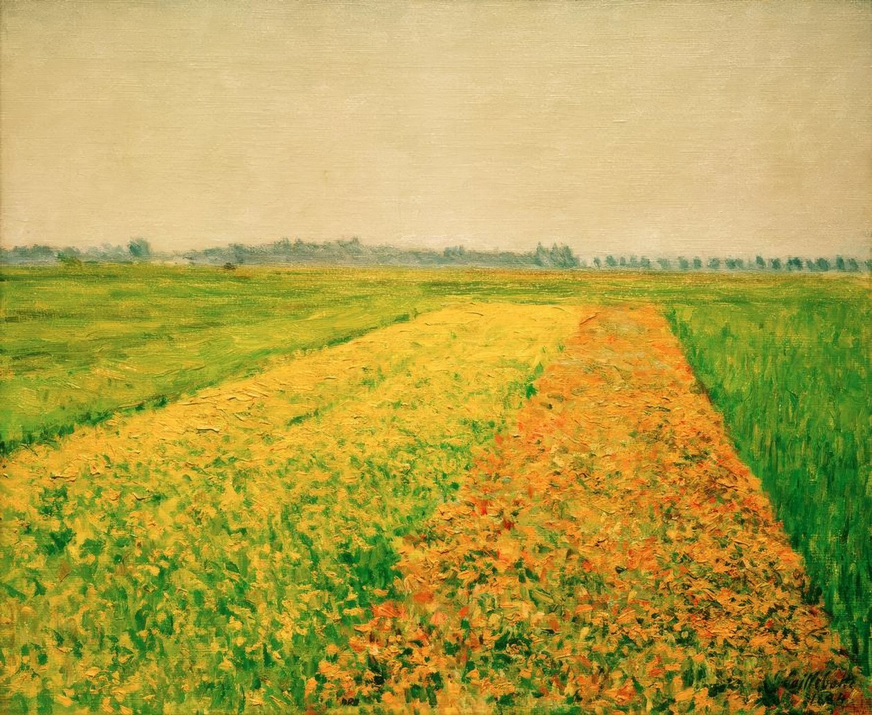 A planície de Gennevilliers, campos amarelos de Gustave Caillebotte